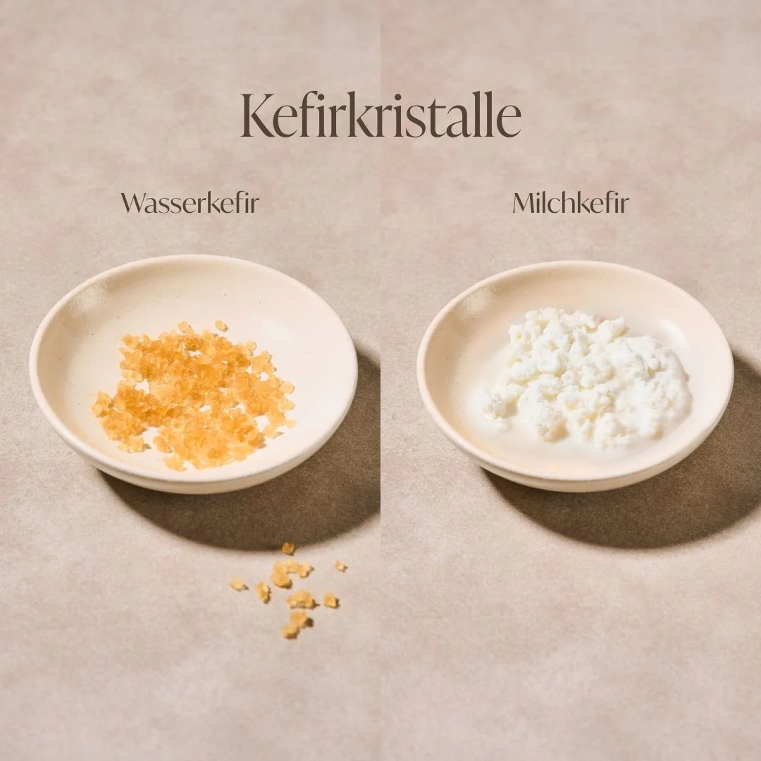Kefir Starter Set - Image 6