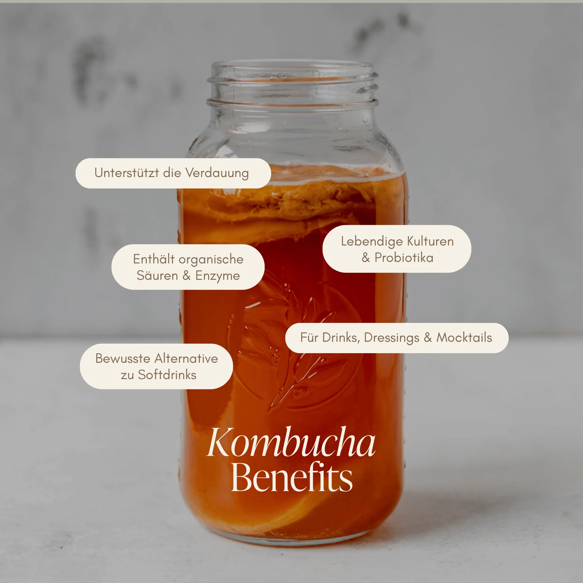 Kombucha Starter Set - Image 3