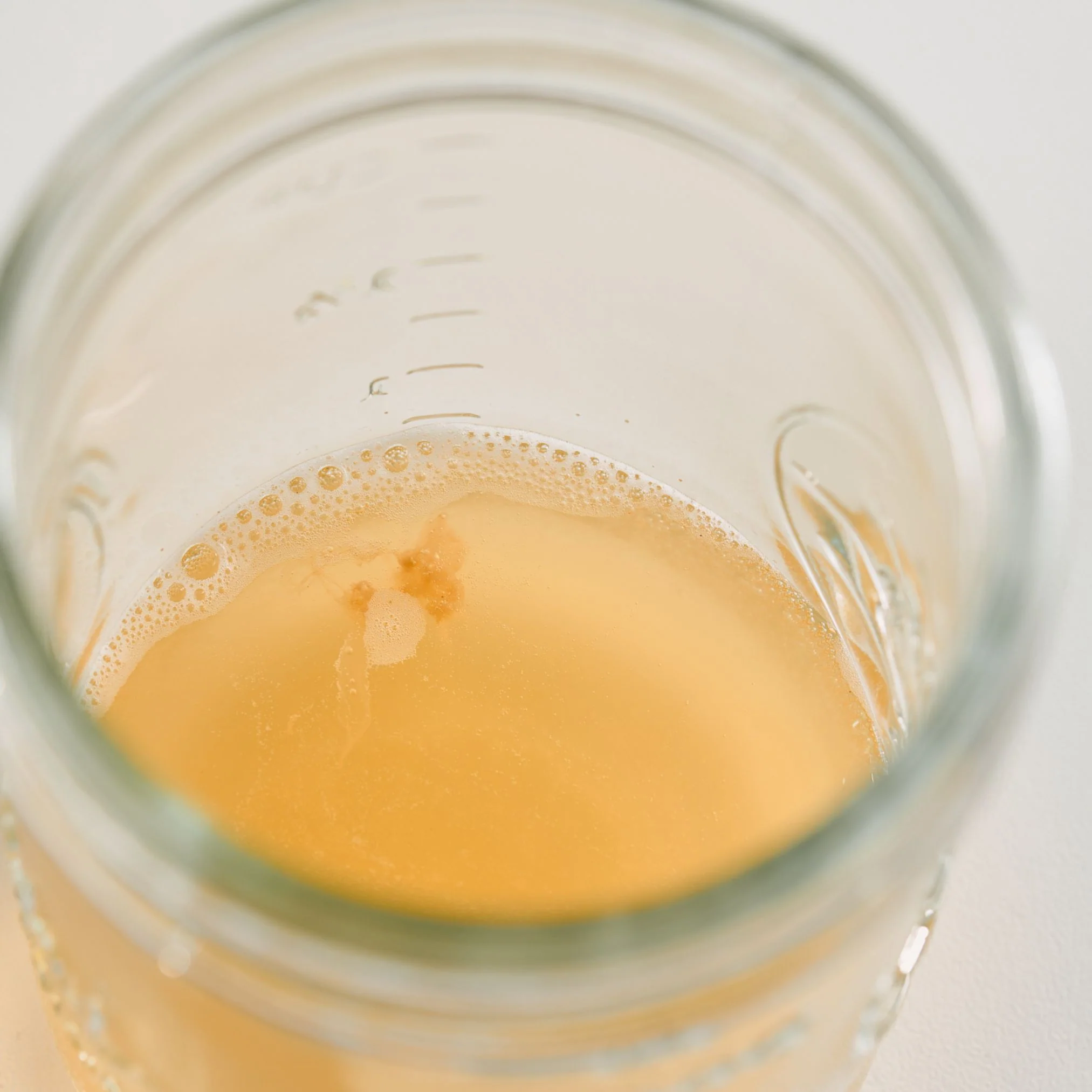 Kombucha Starter - Image 4