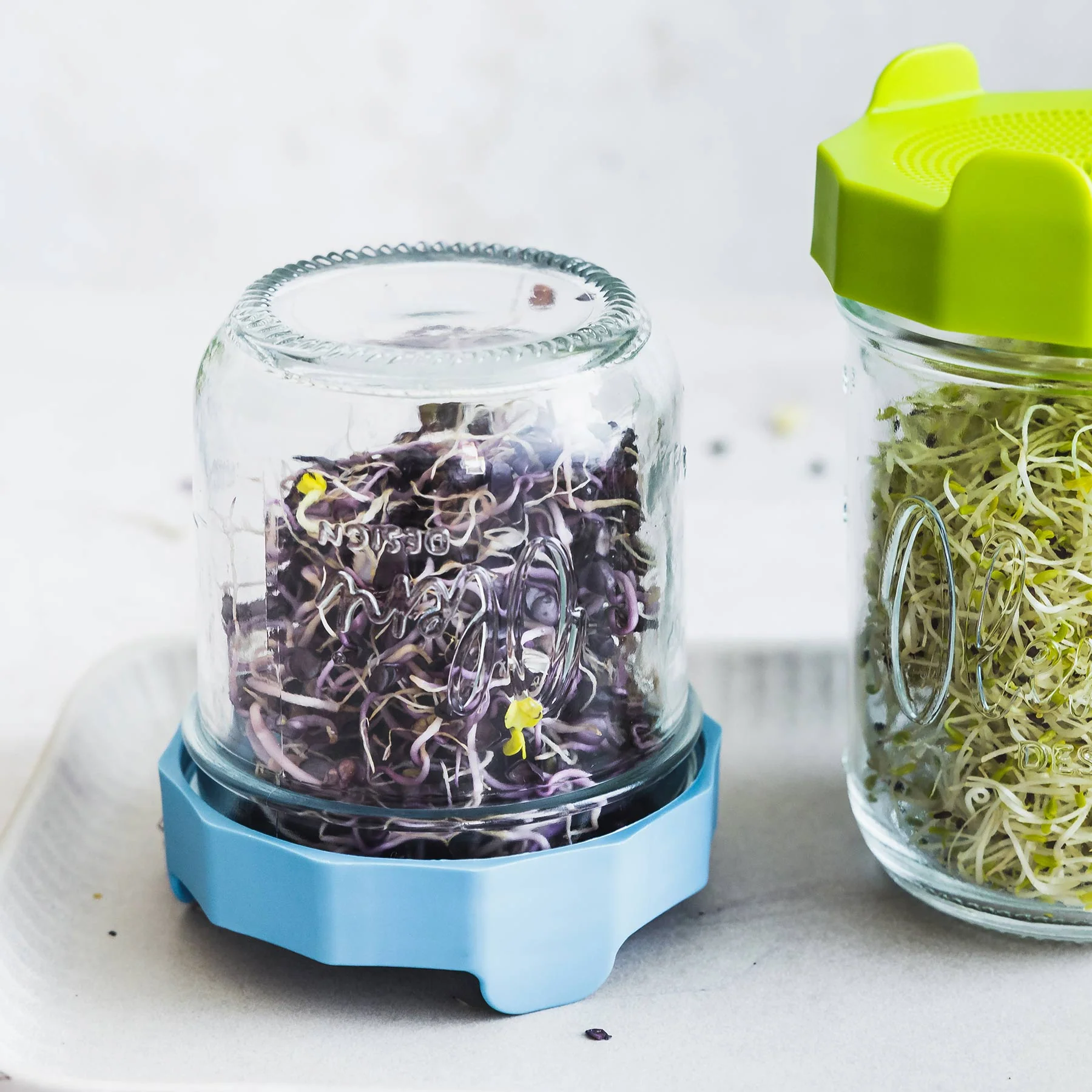 Oleni Mason Jar | Wide | 0.3 L (Gift) - Image 9